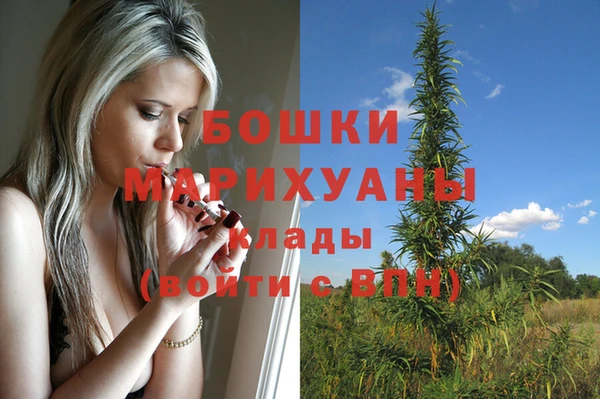 дмт Горняк
