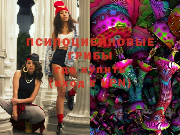 дмт Горняк