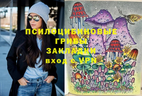 дмт Горняк