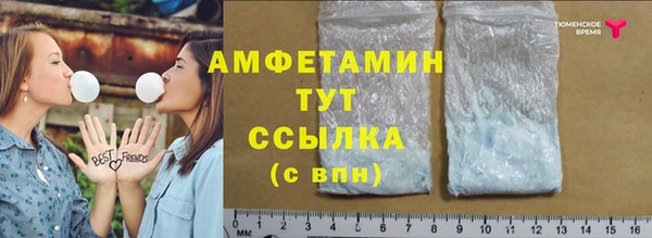 дмт Горняк